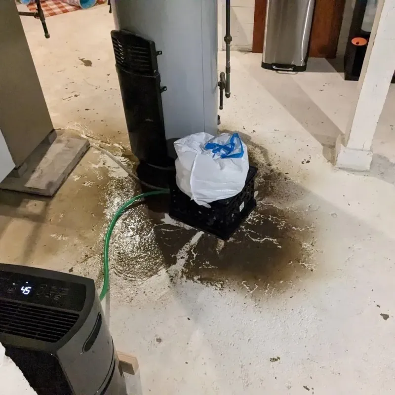 Sewage Backup Cleanup Service in Hueytown, AL